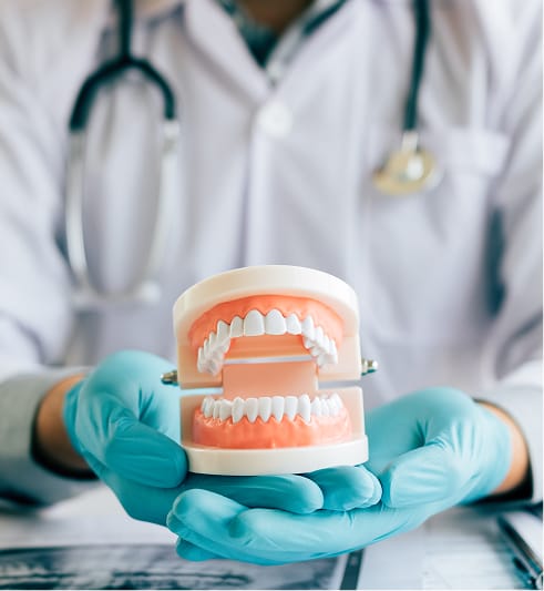 Dentist holding a full set of removable dentures to demonstrate tooth replacement options.